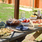 Brunch Entre Viñas: Visita a los Viñedos y Brunch en Finca Mas Perdut (Santa Oliva, Tarragona)