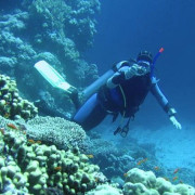 Bautismo de Buceo para dos (Fuengirola, Málaga)