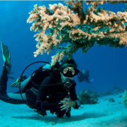 Bautismo de Buceo (Tarragona)