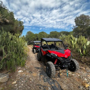 Ruta en Buggy para dos (Salou, Tarragona)