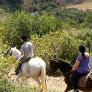 Paseo a Caballo por el Parque Natural de Collserola para dos (Sant Cugat, Barcelona)