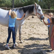 Ruta a Caballo y Clase de Iniciación Ecuestre (Colladillo, Segovia)