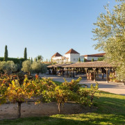 Visita a los Viñedos, Bodega y Cata de Vinos en Bodegas y Viñedos Casa del Valle (Yepes, Toledo)