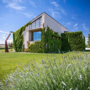 Tour Privado y Cata Degustación para dos en Aceites Artajo (Fontellas, Navarra)