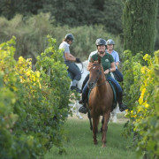 El Viñedo Verde del Empordà a Caballo: Ruta a Caballo, Visita a la Bodega y Cata de Vinos en Clos de Basella (Siurana, Girona)