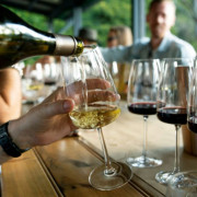 Cata de Vinos en el Centro de Sevilla (Sevilla)