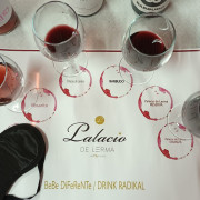 Visita a las Bodegas Palacio de Lerma con Cata de 4 Vinos a Ciegas (Lerma, Burgos)