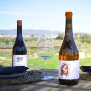 Cata de Vinos con Degustación en Finca Mas Perdut (Santa Oliva, Tarragona)