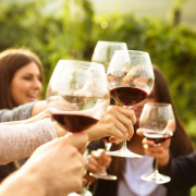 Visita a Bodega Barco Las Culebras y Cata de Vinos (Pesquera de Duero, Valladolid)