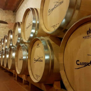 Visita a Viñedos y Bodega con Cata de Vinos en Finca Carril Cruzado (Cuenca)