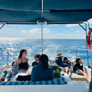 Salida en Catamarán con Degustación de Tapas Españolas, Actividades y Avistamiento de Delfines (Benalmádena, Málaga)