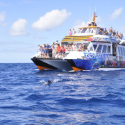 Paseo en Catamarán Visión Submarina y Baño (Morro Jable, Fuerteventura)