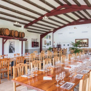 Desayuno y Visita Completa a Bodega con Degustación y Cata de Vinos en Bodega Miquel J. Jané (Barcelona)