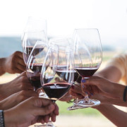 Viaje al Origen: Merendero Sanchomartin, Visita a Bodega, Cata de Vinos y Menú Especial en Bodegas Emilio Moro (Valladolid)
