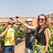 Saborea Nuestra Ribera: Visita a Bodega, Tapas Gourmet y Cata de Vino en Bodegas Emilio Moro (Valladolid)