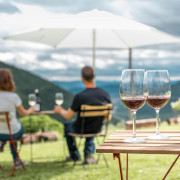 Escapada en Balneario de Panticosa 4* y Visita a Bodegas Bal Minuta con Cata de Vino para dos (Huesca)