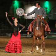 Entradas para el Espectáculo Pasión y Duende del Caballo Andaluz en Córdoba Ecuestre (Córdoba)