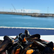 Excursión en Catamarán a Cova Tallada con Degustación de Mejillón y Vino (Dénia, Alicante)
