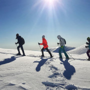 Excursión en Raquetas de Nieve (La Molina, Girona)