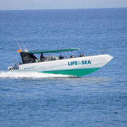 Discovery Tour en Barco: Illetes o Cabo Blanco Club (S'Arenal, Mallorca)