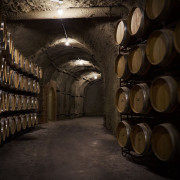 Visita a Bodegas Vinícola Real de La Casa del Cofrade con Cata de Vinos (Albelda de Iregua, La Rioja)