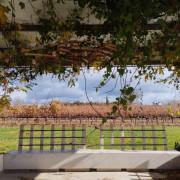 Visita y Cata de Vino en Bodega y Viñedos Martín Berdugo (Aranda de Duero, Burgos)