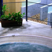 Jacuzzi Privado con Cromoterapia y Masaje Relajante para Parejas (Valladolid)