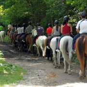 Ruta a Caballo (Llavorsí, Lleida)