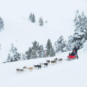 Mushing: Excursión en Trineo por el Bosque de Dossau (Vall d'Aran, Lleida)