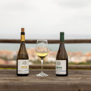 Visita a Bodega Nilva con Cata de Vinos y Tapas para cuatro personas (Manilva, Málaga)