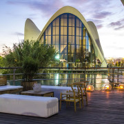 Entrada a Oceanogràfic y Backstage Tour (Valencia)