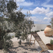 Visita a Oleotour Cazorla con Degustación de Aceites (Cazorla, Jaén)