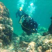 Curso de Open Water Diver (Calella de Palafrugell, Girona)