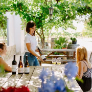 Noche entre Viñedos: Escapada con Desayuno y Visita a Bodega Pago de Tharsys con Cata y Embutidos para dos (L-J) (Valencia) 