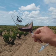 Visita a Bodega con Cata de Vinos y Aperitivo para dos en Palacio de Villachica (Toro, Zamora)