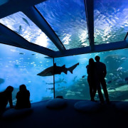 Entrada a Palma Aquarium (Palma de Mallorca)