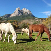 Ruta a Caballo con Fotos (Saldes, Barcelona)