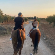 Paseo a Caballo para dos con Opción a Tosta y Bebida (Campo Real, Madrid)