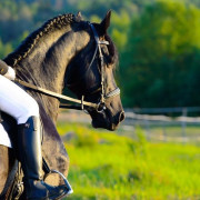Paseo a Caballo para dos (Granada)
