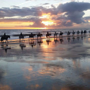 Paseo a Caballo al Atardecer por las playas de Doñana (Mazagón, Huelva)