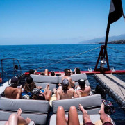 Paseo en Catamarán Freebird para Avistamiento de Ballenas y Delfines con Baño (Costa Adeje, Tenerife)