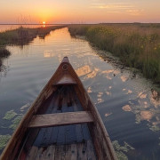 Paseo en Barca con Cata de Vino o Vermut por la Albufera (El Palmar, Valencia)