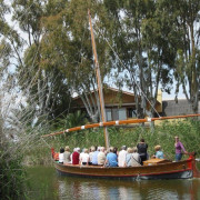 Paseo en Barca Guiado por la Albufera con Visita a Barraca (El Palmar, Valencia)