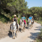 Excursión a Caballo y Brunch o Comida (Mallorca)