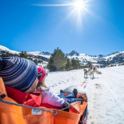 OFERTA Mushing: 2 Km en Paseo en Trineo tirado por Perros y Seguro (Andorra)