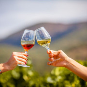 Picnic en el Viñedo con Vinos DO Empordà para dos (Girona)