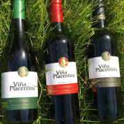 Escapada en Posadas de Granadilla y Visita Guiada a Bodegas Viña Placentina con Cata de 2 Vinos y Tapas para dos (Cáceres)