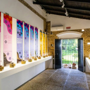 Visita Guiada Premium a Puerto de Indias con Degustación (Carmona, Sevilla)