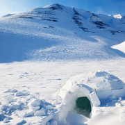 Día de Nieve: Ruta en Raquetas de Nieve, Construcción de Iglús y Carreras de Trineos (Navacerrada, Madrid)
