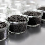 Visita a Caviar Riofrío con Degustación de Caviar (Riofrío, Granada)
